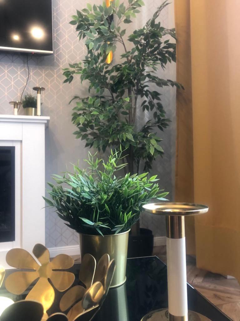 Glamorous Apartment Old Town Cracow クラクフ エクステリア 写真